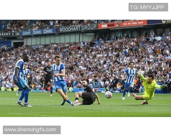 英冠焦点战布伦特对决赫尔城争夺积分榜关键位置