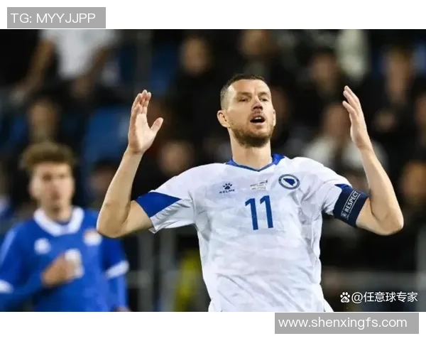 西班牙与波黑友谊赛精彩对决球迷期待激情碰撞与友谊升华